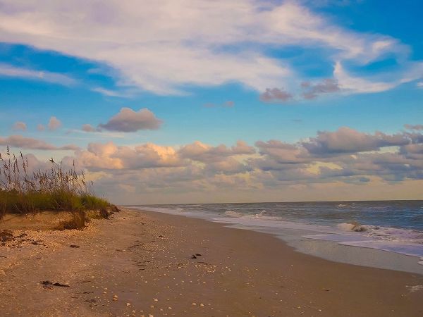 Beach-Sanibel Island-Florida-USA